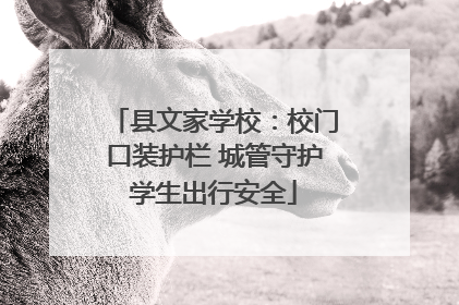 县文家学校：校门口装护栏 城管守护学生出行安全