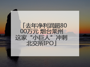 去年净利润超8000万元 烟台莱州这家“小巨人”冲刺北交所IPO