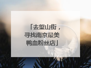 去望山街，寻找南京最美鸭血粉丝店