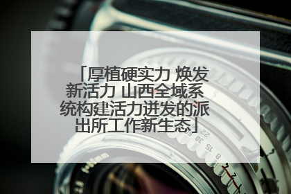 厚植硬实力 焕发新活力 山西全域系统构建活力迸发的派出所工作新生态