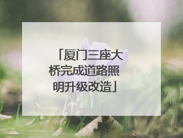 厦门三座大桥完成道路照明升级改造