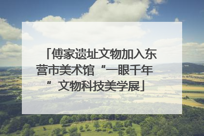 傅家遗址文物加入东营市美术馆“一眼千年”文物科技美学展
