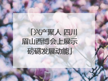 兴产聚人 四川眉山西博会上展示磅礴发展动能
