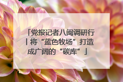 党报记者八闽调研行丨将“蓝色牧场”打造成广阔的“碳库”