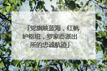 党旗映蓝海，红帆护枢纽，罗家岙派出所的忠诚航迹