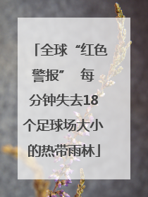全球“红色警报”  每分钟失去18个足球场大小的热带雨林