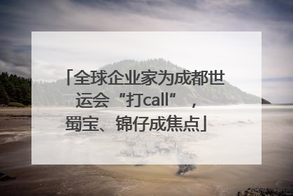 全球企业家为成都世运会“打call”，蜀宝、锦仔成焦点