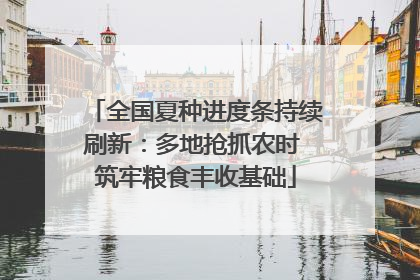 全国夏种进度条持续刷新：多地抢抓农时 筑牢粮食丰收基础