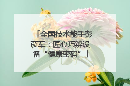 全国技术能手彭彦军：匠心巧辨设备“健康密码”