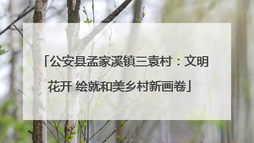 公安县孟家溪镇三袁村：文明花开 绘就和美乡村新画卷