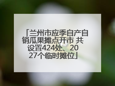 兰州市应季自产自销瓜果摊点开市 共设置424处、2027个临时摊位