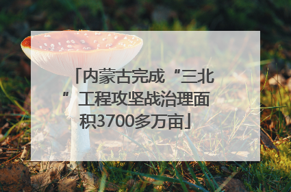 内蒙古完成“三北”工程攻坚战治理面积3700多万亩
