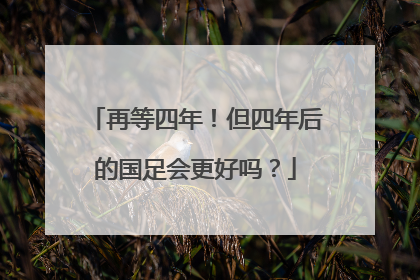 再等四年！但四年后的国足会更好吗？