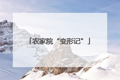 农家院“变形记”