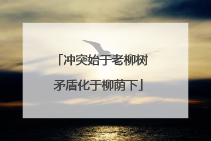 冲突始于老柳树 矛盾化于柳荫下