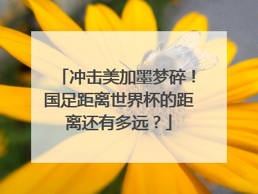 冲击美加墨梦碎！国足距离世界杯的距离还有多远？