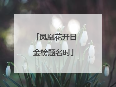 凤凰花开日 金榜题名时
