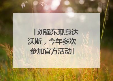 刘强东现身达沃斯，今年多次参加官方活动