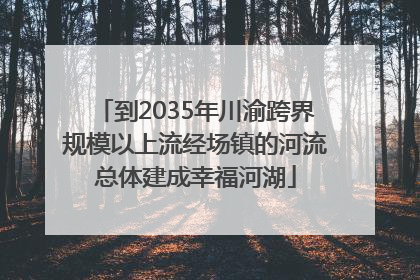 到2035年川渝跨界规模以上流经场镇的河流总体建成幸福河湖