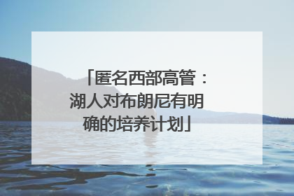 匿名西部高管：湖人对布朗尼有明确的培养计划