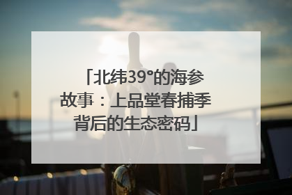 北纬39°的海参故事：上品堂春捕季背后的生态密码