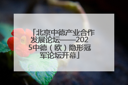 北京中德产业合作发展论坛——2025中德（欧）隐形冠军论坛开幕
