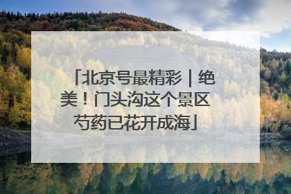 北京号最精彩｜绝美！门头沟这个景区芍药已花开成海