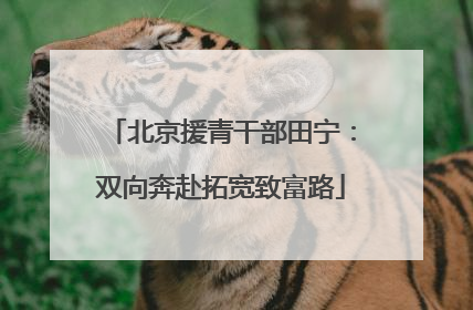 北京援青干部田宁：双向奔赴拓宽致富路