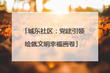 城东社区：党建引领绘就文明幸福画卷