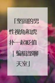 坚固的男性视角和虎扑一起贬值｜编辑部聊天室
