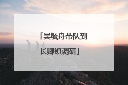 吴毓舟带队到长卿镇调研
