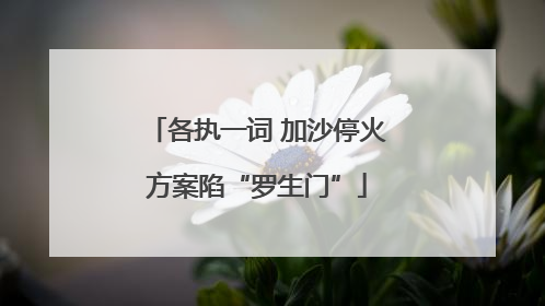 各执一词 加沙停火方案陷“罗生门”