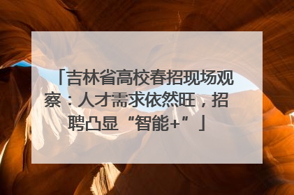 吉林省高校春招现场观察：人才需求依然旺，招聘凸显“智能+”