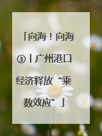向海！向海③丨广州港口经济释放“乘数效应”