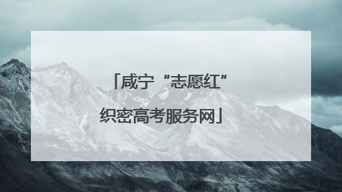 咸宁“志愿红”织密高考服务网