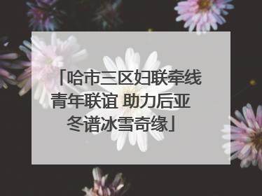 哈市三区妇联牵线青年联谊 助力后亚冬谱冰雪奇缘