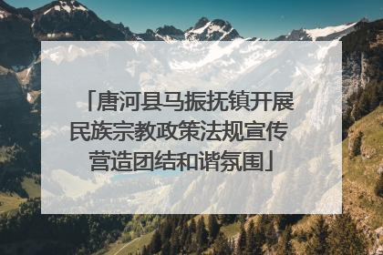唐河县马振抚镇开展民族宗教政策法规宣传 营造团结和谐氛围