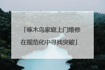 啄木鸟家庭上门维修在规范化中寻找突破
