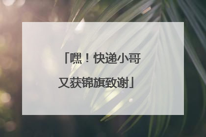 嘿！快递小哥又获锦旗致谢