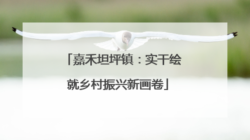 嘉禾坦坪镇：实干绘就乡村振兴新画卷