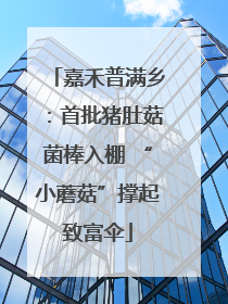 嘉禾普满乡：首批猪肚菇菌棒入棚 “小蘑菇”撑起致富伞