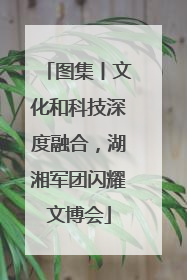 图集丨文化和科技深度融合，湖湘军团闪耀文博会