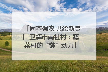固本强农 共绘新景 ︳卫辉市南社村：蔬菜村的“链”动力