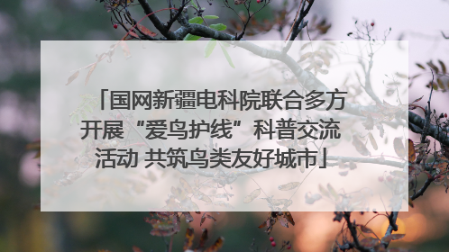国网新疆电科院联合多方开展“爱鸟护线”科普交流活动 共筑鸟类友好城市