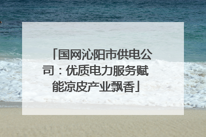 国网沁阳市供电公司：优质电力服务赋能凉皮产业飘香