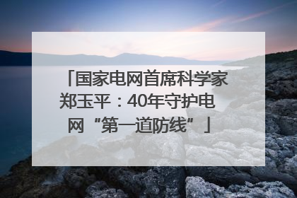 国家电网首席科学家郑玉平：40年守护电网“第一道防线”