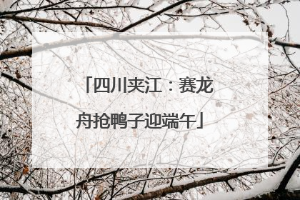 四川夹江：赛龙舟抢鸭子迎端午