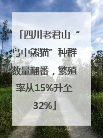 四川老君山“鸟中熊猫”种群数量翻番，繁殖率从15%升至32%