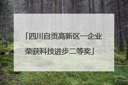 四川自贡高新区一企业荣获科技进步二等奖