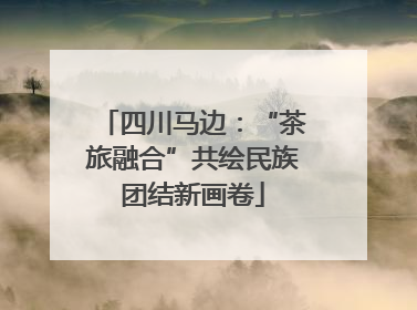 四川马边：“茶旅融合”共绘民族团结新画卷